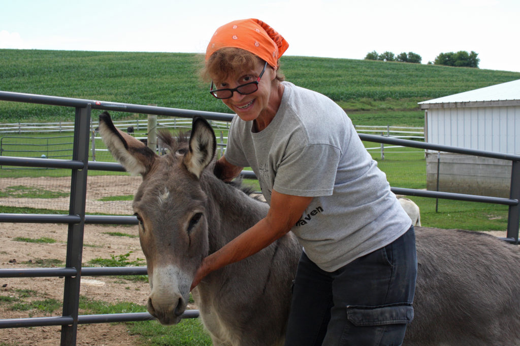 Angela Langoski poses with her rescue donkey Ferguson. To date, Langoski has rescued 89 donkeys. (Jenny Peek/WPR)