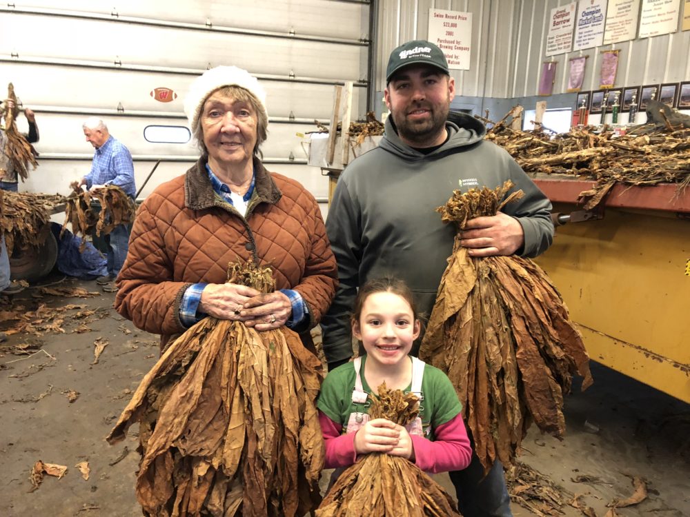 Tobacco farmers Marjorie Fursesth, Curt Watson, and his daughter, Sydney, tie tobacco during the annual family gathering. (Photo by Kristen Durst)