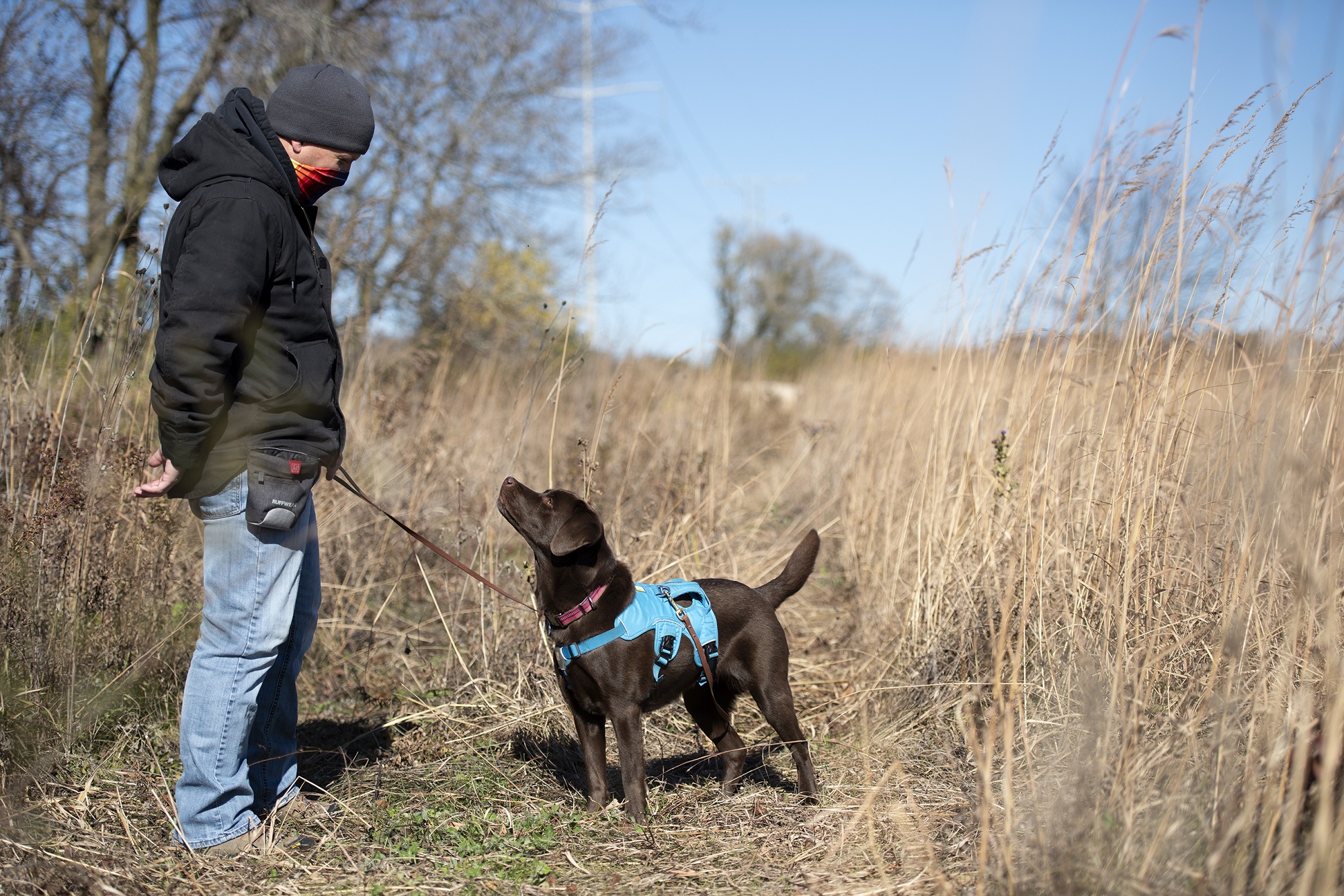 Cory Gritzmacher walks with Tilia on a leash Wednesday, Oct. 28, 2020, at the Mequon Nature Preserve. (Angela Major/WPR)
